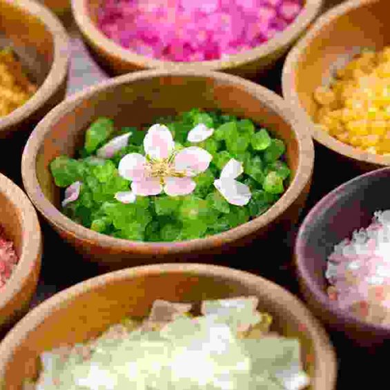 Colorful Petals Colorful Petals