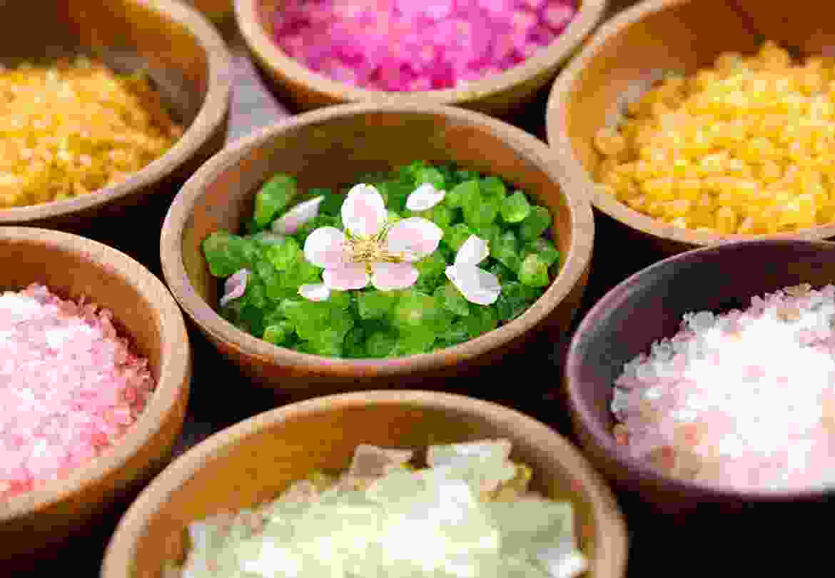 Colorful Petals Colorful Petals